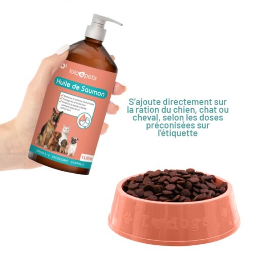 Chien en pleine forme grâce à l'huile de saumon