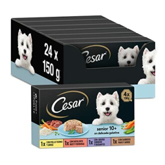 César Multipack pour Chiens Seniors