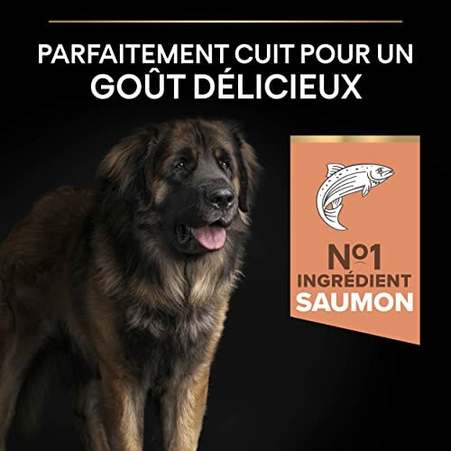 Chien avec message sur nourriture au saumon