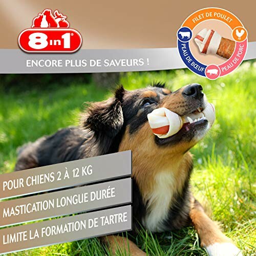 Chien mâchant une friandise 8in1 sur l'herbe.