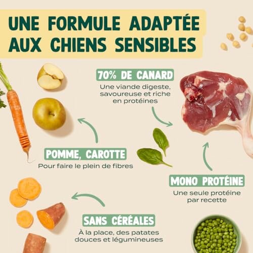 Ingrédients pour chiens sensibles: canard, pomme, carotte, sans céréales.