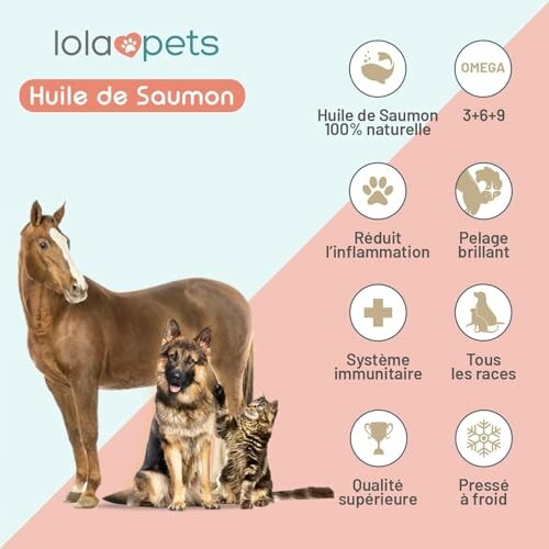 Cheval, chien et chat avec avantages de l'huile de saumon pour animaux.