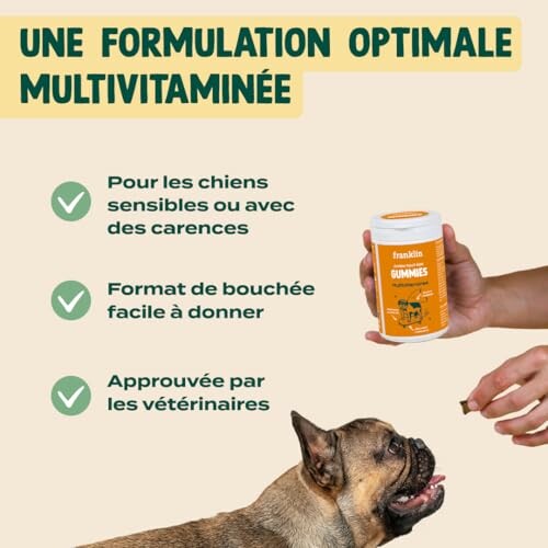 Compléments multivitaminés pour chiens.
