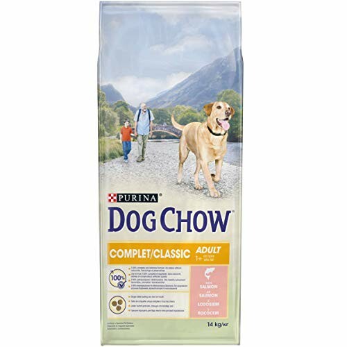 Dog Chow Croquettes au Saumon