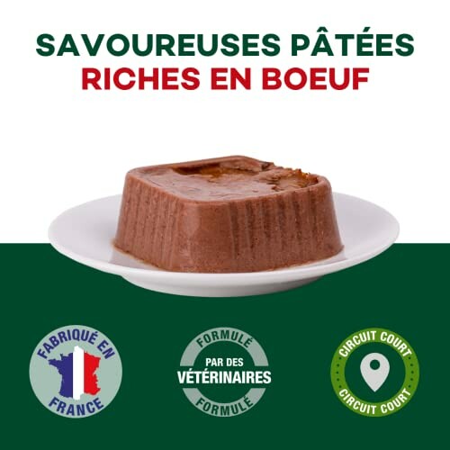 Pâtée pour animaux riche en bœuf sur une assiette blanche