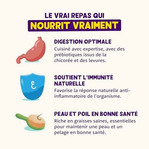 Infographie sur les bienfaits d'un repas pour la digestion, l'immunité et la peau.